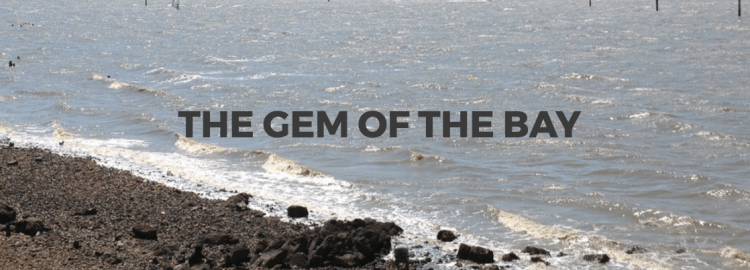 Screen Shot 2017-04-26 at 8.52.56 AM