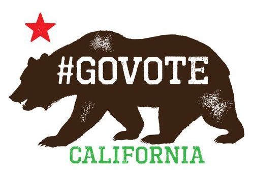 ea51d64110d017a7f2bc0764129e2390--register-to-vote-online-book-jacket